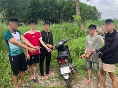 Đọc nhanh bài viết 1005370