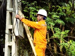 Đọc nhanh bài viết 1005378