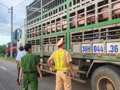 Đọc nhanh bài viết 1005462