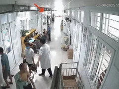 Đọc nhanh bài viết 1005543