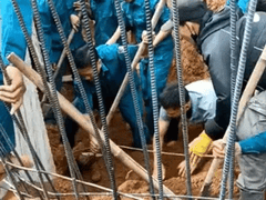 Đọc nhanh bài viết 1005646