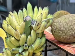 Đọc nhanh bài viết 1005704