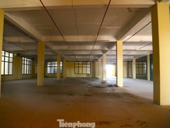 Đọc nhanh bài viết 1005830