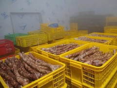 Đọc nhanh bài viết 1005911