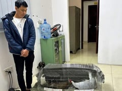 Đọc nhanh bài viết 1006248
