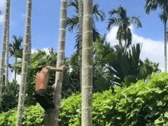 Đọc nhanh bài viết 1006287