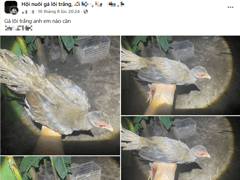 Đọc nhanh bài viết 1006329