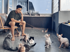 Đọc nhanh bài viết 1006380
