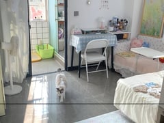Đọc nhanh bài viết 1006413