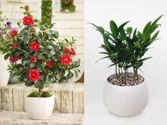 Đọc nhanh bài viết 1006580