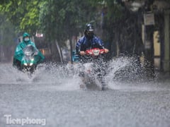 Đọc nhanh bài viết 1006589