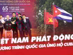 Đọc nhanh bài viết 1006661