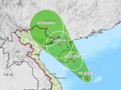 Đọc nhanh bài viết 1006705