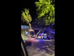 Đọc nhanh bài viết 1006884