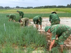 Đọc nhanh bài viết 1006928