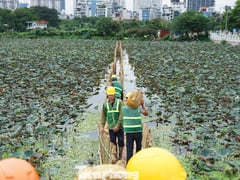 Đọc nhanh bài viết 1006971