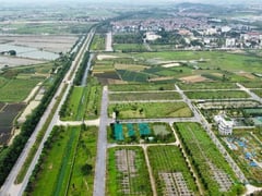 Đọc nhanh bài viết 1007134