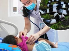 Đọc nhanh bài viết 1007198
