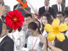 Đọc nhanh bài viết 1007523