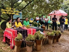 Đọc nhanh bài viết 1007735