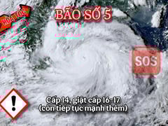 Đọc nhanh bài viết 1007777