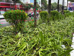Đọc nhanh bài viết 1007856