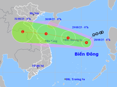 Đọc nhanh bài viết 1008364