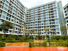 Đọc nhanh bài viết 1008880