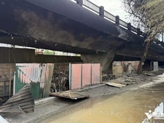 Đọc nhanh bài viết 1009102