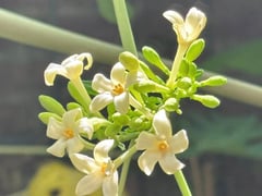 Đọc nhanh bài viết 1009493