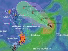 Đọc nhanh bài viết 1009596