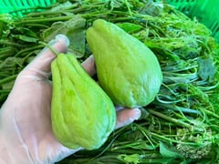 Đọc nhanh bài viết 1009751