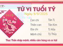 Đọc nhanh bài viết 1010006