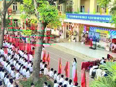 Đọc nhanh bài viết 1011384