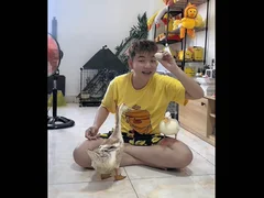 Đọc nhanh bài viết 1011480