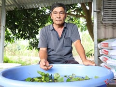 Đọc nhanh bài viết 1011867