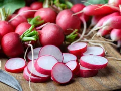 Đọc nhanh bài viết 1012065