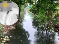 Đọc nhanh bài viết 1012141