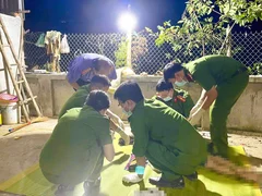 Đọc nhanh bài viết 1012150