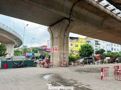 Đọc nhanh bài viết 1012153