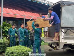 Đọc nhanh bài viết 1012239