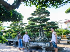 Đọc nhanh bài viết 1012476
