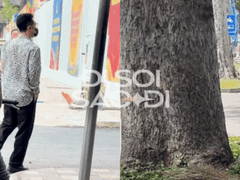 Đọc nhanh bài viết 1012517