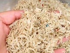 Đọc nhanh bài viết 1012518