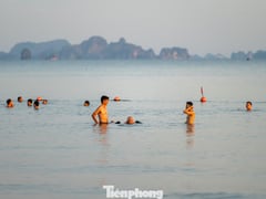Đọc nhanh bài viết 1012605