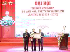 Đọc nhanh bài viết 1012734