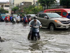 Đọc nhanh bài viết 1013051