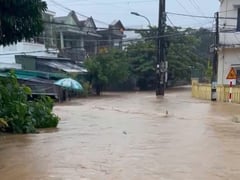 Đọc nhanh bài viết 1013108