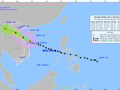 Đọc nhanh bài viết 1013112