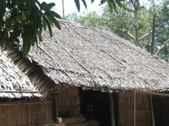 Đọc nhanh bài viết 1013177